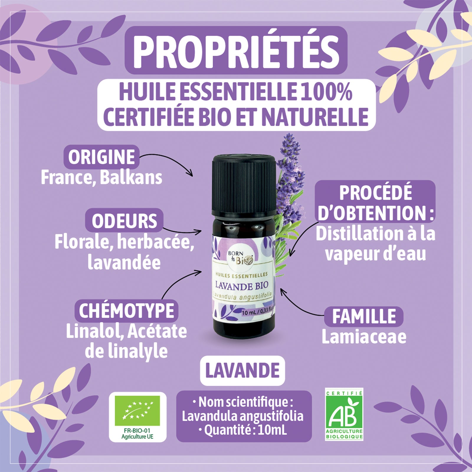 Organic Lavender essential oil-1